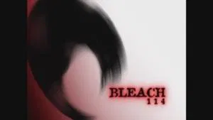 Uma reunião entre o Ichigo, a Rukia e os Deuses da Morte